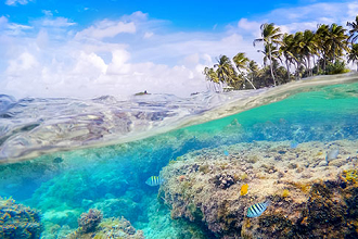 Vignette du guide de voyage Antilles