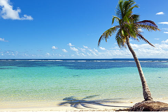 Vignette du guide de voyage Guadeloupe