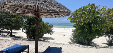 Combiné Ôclub Zen Pearl Beach Resort 4* & Safari 1 nuit en avion, Circuit Tanzanie, Zanzibar par Ôvoyages Combiné Ôclub Zen Pearl Beach Resort 4* & Safari 1 nuit en avion, Circuit Tanzanie, Zanzibar par Ôvoyages